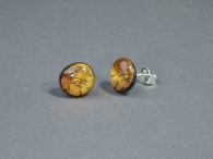 Midnight Ohrstecker gold
